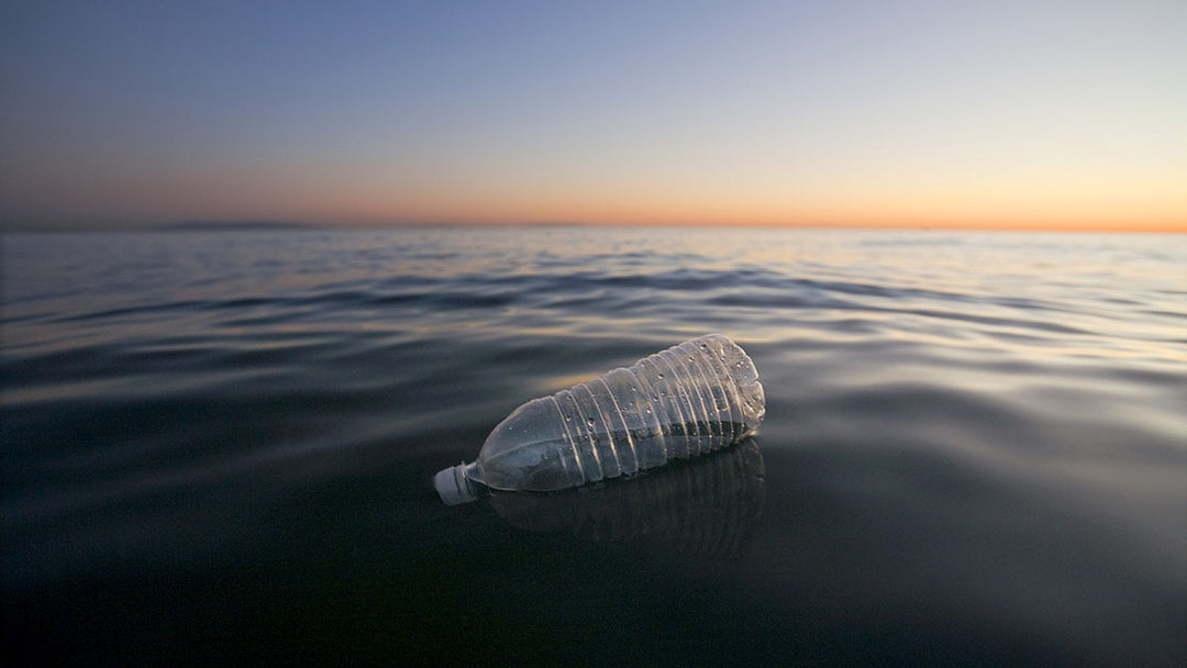 Eco-Friendly Benefits of Recycled Swimming Trunks